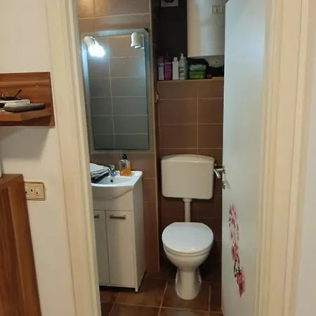 Tanja Apartmán Spodnje Skofije